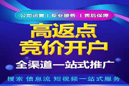 探索SEM托管公司经典案例：助力企业快速成长
